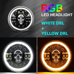 Big Wood Customs Skull Headlight